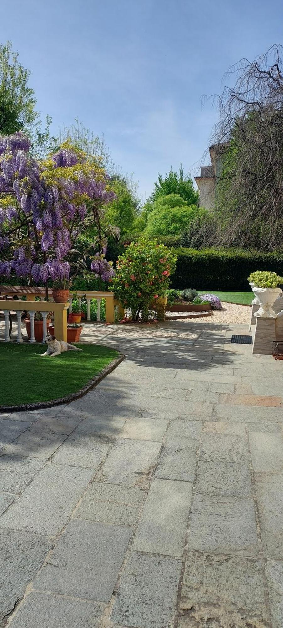 Villa Lina 크레모나 외부 사진